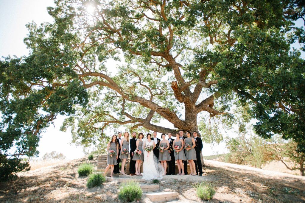Bridal Party under California Oak at Cass Winery by Paso Robles Wedding Photographer Austyn Elizabeth Photography
