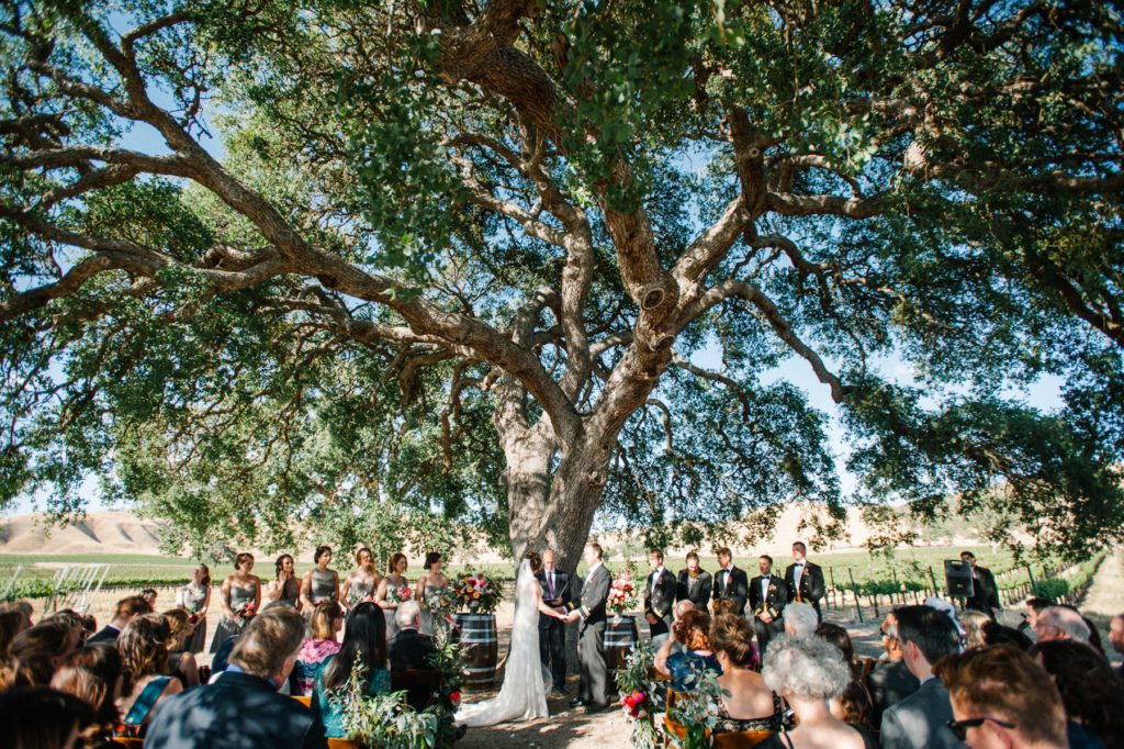 Wedding Ceremony at Cass Winery by Austyn Elizabeth Photography