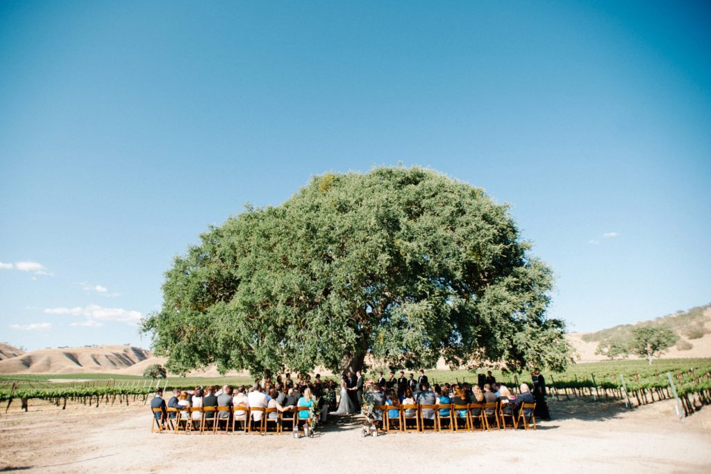 cass-winery-wedding-paso-robles-31