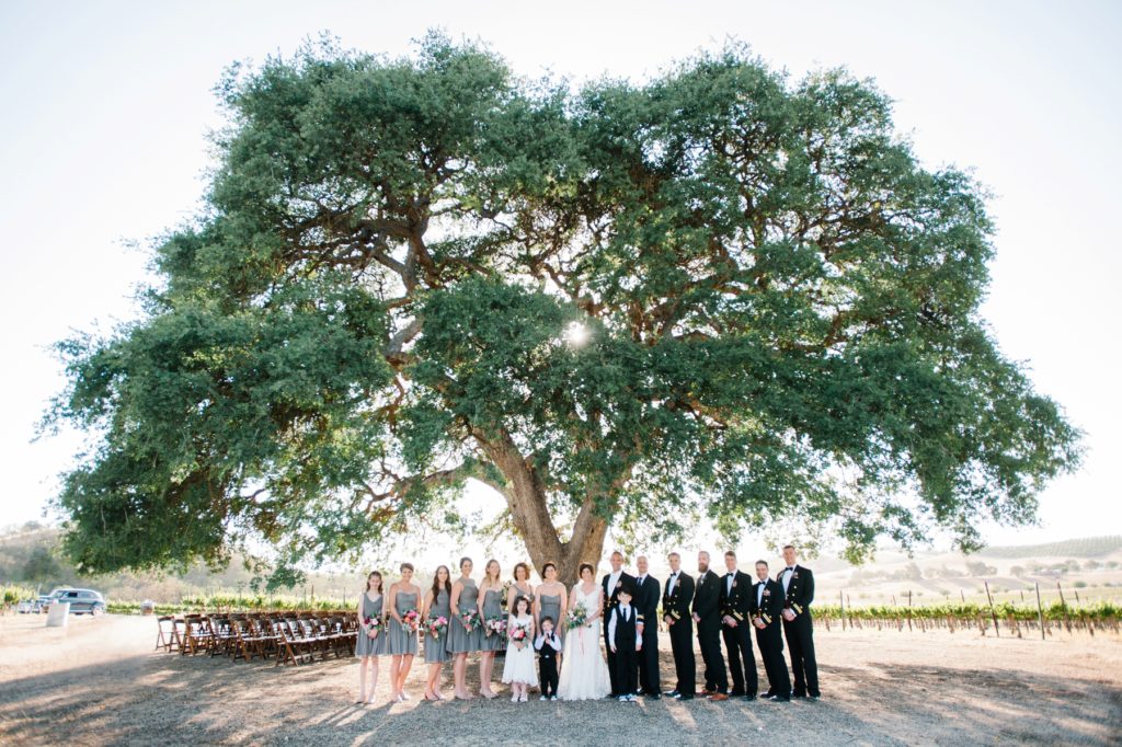 Bridal Party under Oak Tree at Cass Winery Vineyard Wedding in Paso Robles by San Luis Obispo Wedding Photographer Austyn Elizabeth.