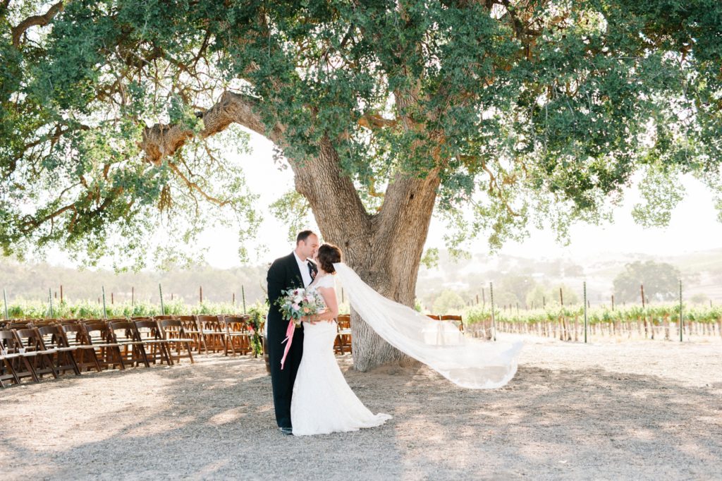 Bride and Groom under Oak Tree at Cass Winery Vineyard Wedding in Paso Robles by San Luis Obispo Wedding Photographer Austyn Elizabeth.