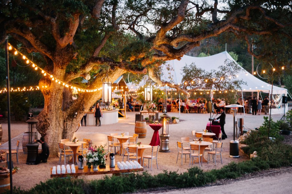 Cocktail under big Oak Tree at Paso Robles Vineyard Wedding at Cass Winery photographed by Austyn Elizabeth Photography