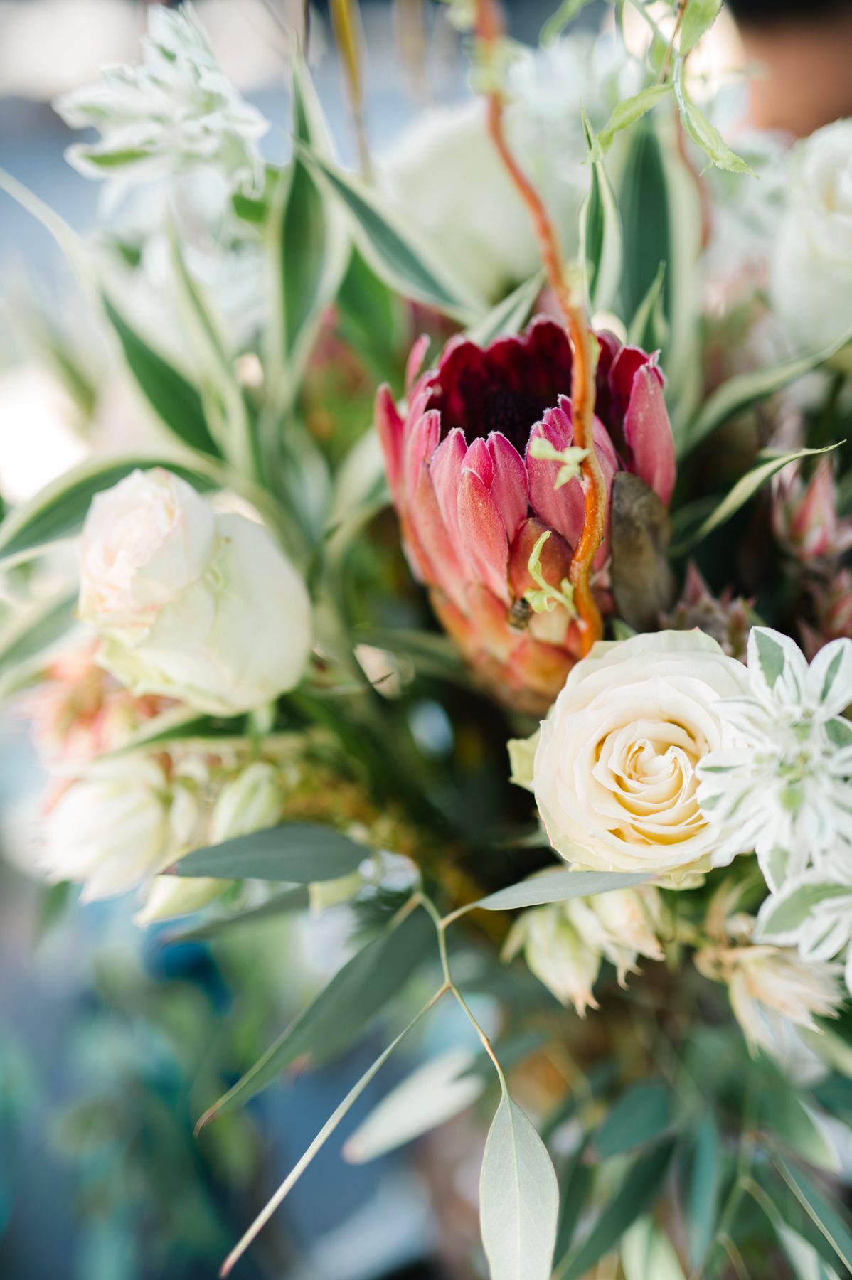 Adelaide Floral of Templeton photographed by san luis obispo wedding photographer, Austyn Elizabeth Photography