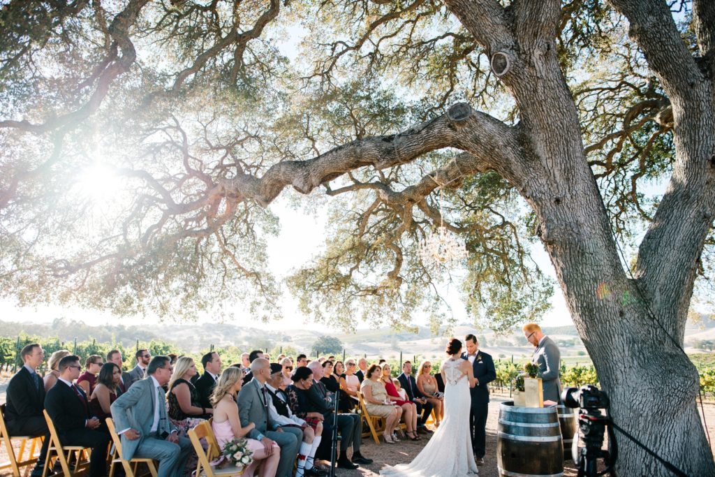 Ceremony under the oak tree at Cass Winery by Austyn Elizabeth Photography