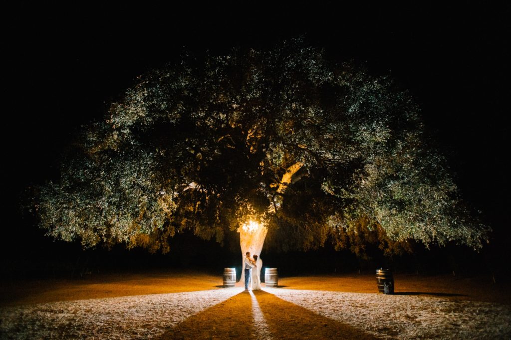 At night under the ceremony tree at Cass Winery by Austyn Elizabeth Photography