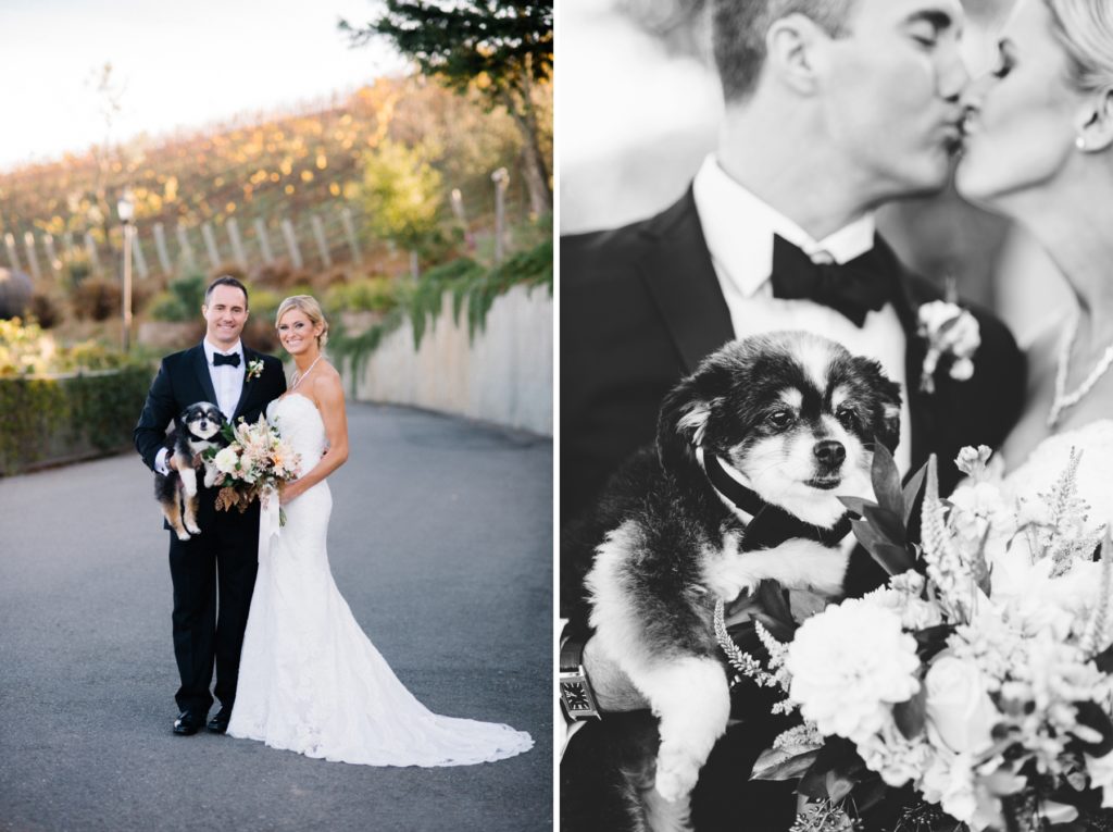 Bride and Groom with dog at Mountain Winery Wedding by Austyn Elizabeth Photography