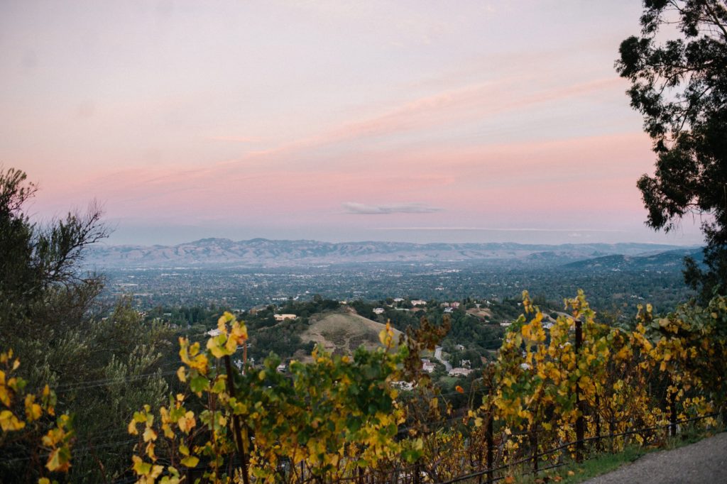 Sunset on top of Mountain Winery Wedding by Austyn Elizabeth Photography