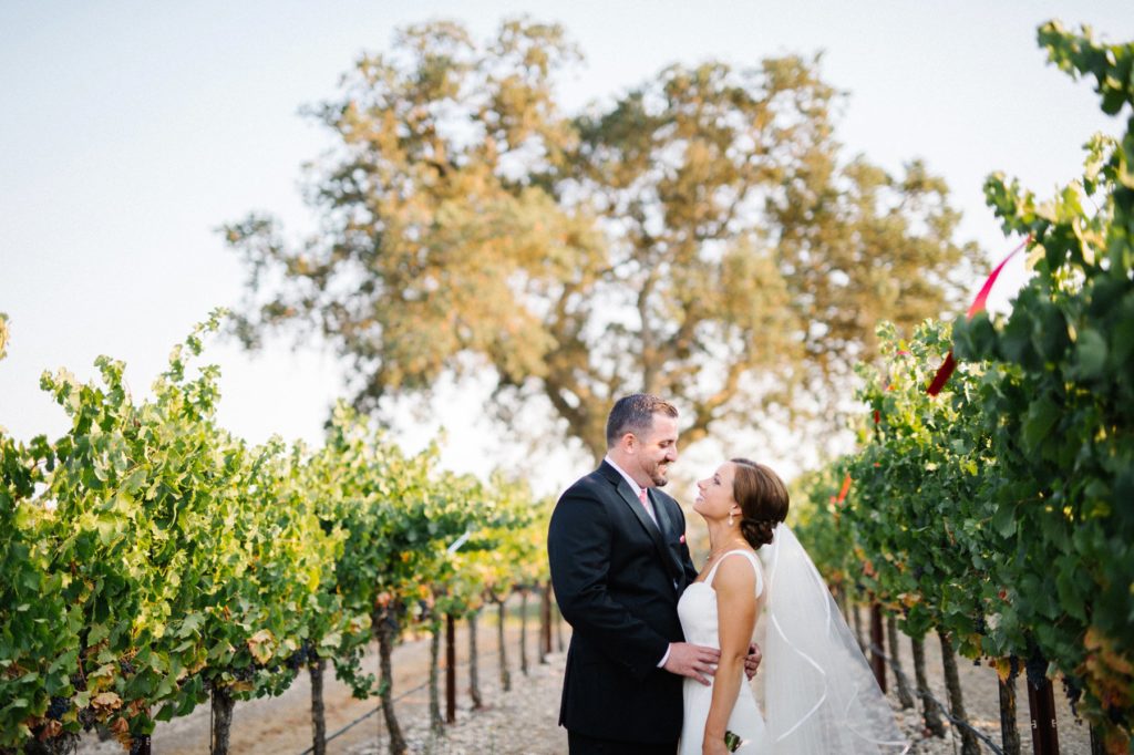 Bride and Groom under Oak Tree in Vineyard at Terra Mia Wedding by Paso Robles Wedding Photographer Austyn Elizabeth Photography