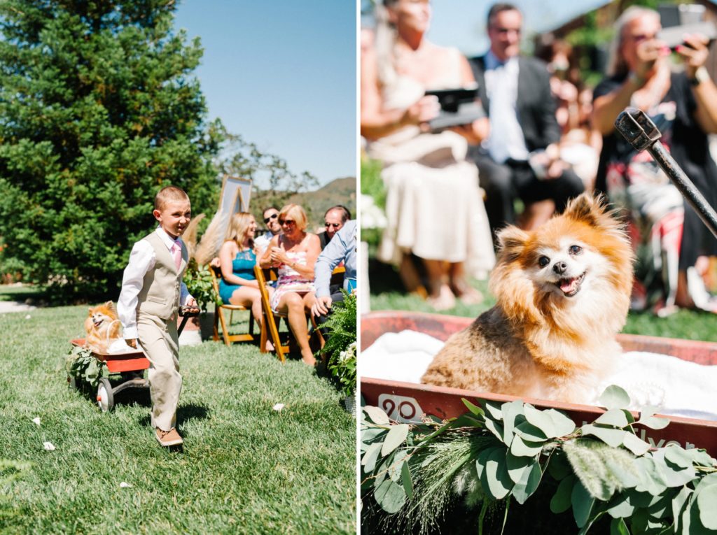 Dog Ring Bearer at Grace Maralyn Estates and Garden Wedding by Austyn Elizabeth Photography