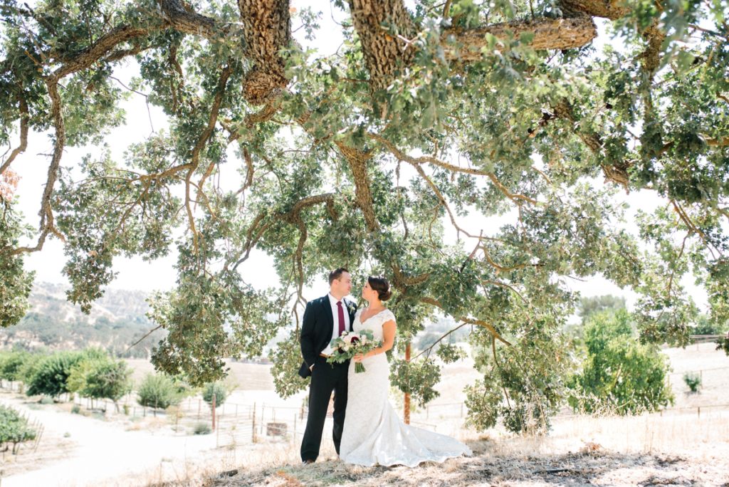 bride and groom first look at cass winery wedding by paso robles wedding photographer Austyn Elizabeth Photography