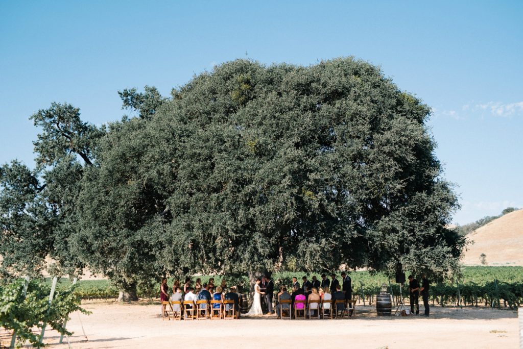 wedding ceremony Under California oak at cass winery wedding by paso robles wedding photographer Austyn Elizabeth Photography