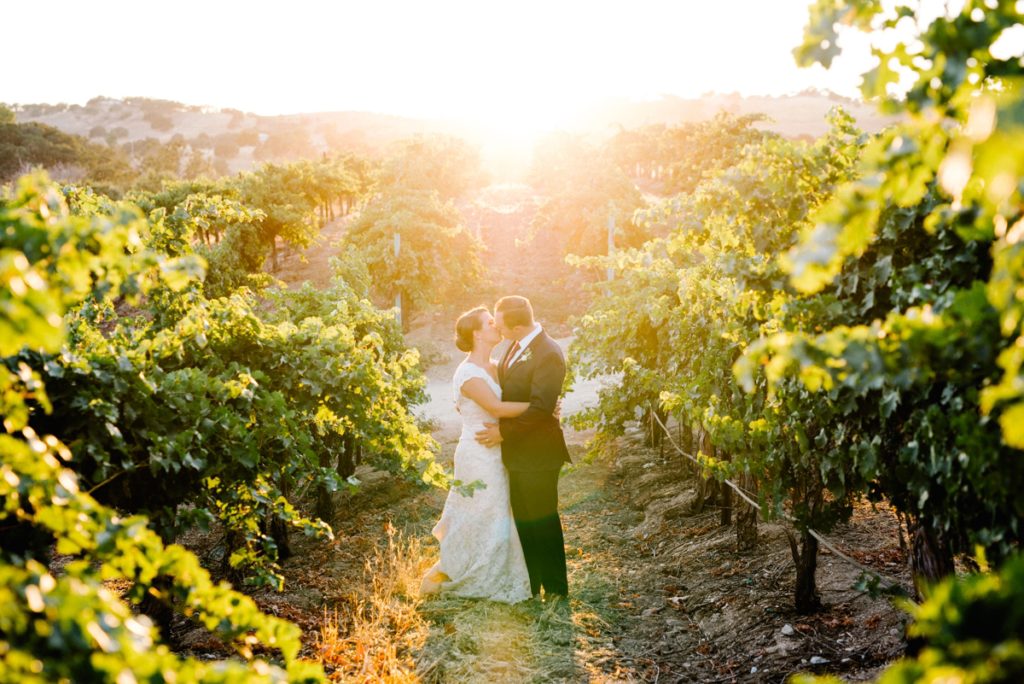 bride and groom in vineyards at sunset at cass winery wedding by paso robles wedding photographer Austyn Elizabeth Photography