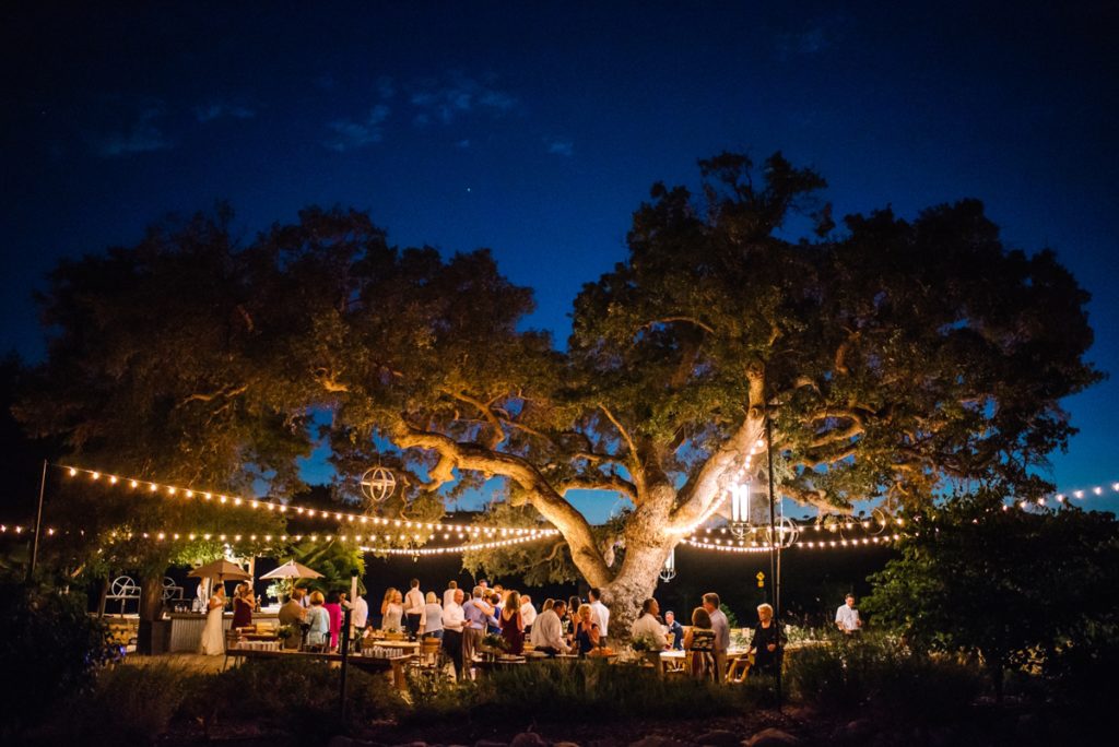 Under the tree at night with bistro lights at cass winery wedding by paso robles wedding photographer Austyn Elizabeth Photography