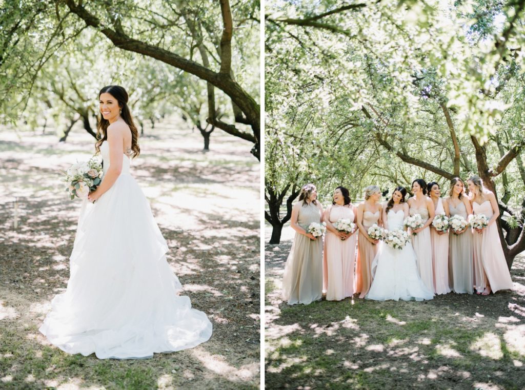 Bride at Almond Orchard Wedding by San Luis Obispo Wedding Photographer Austyn Elizabeth Ford