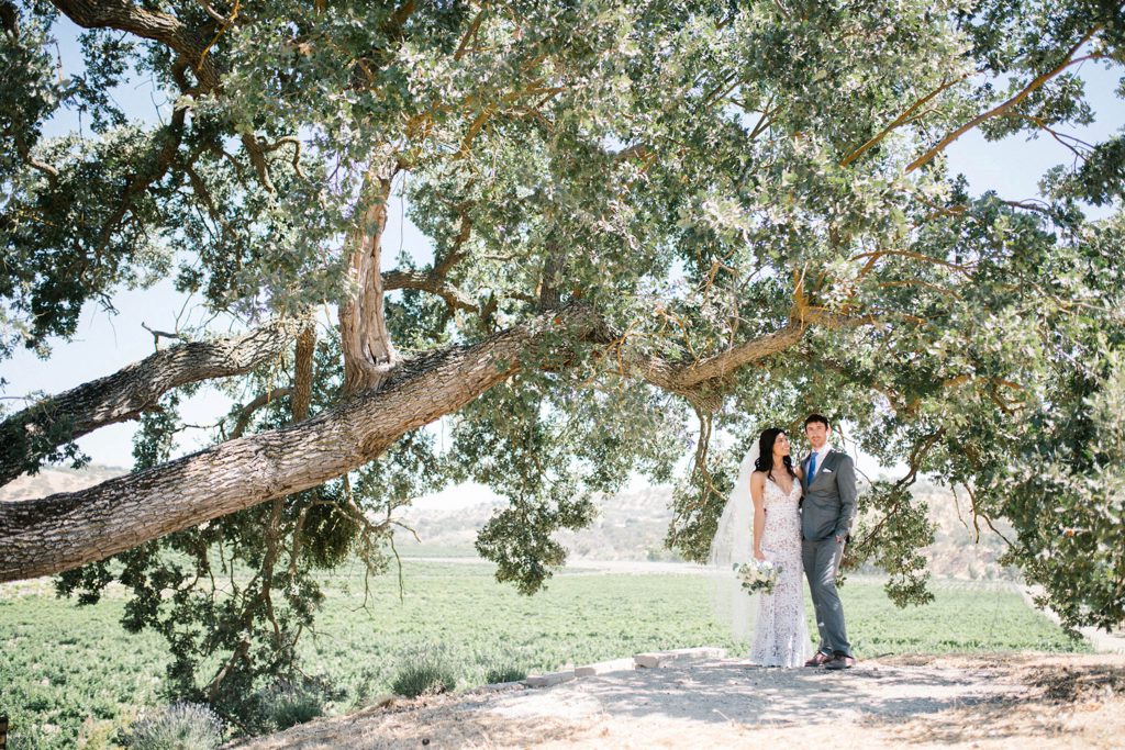 Bride and groom under Oak Tree at Cass Winery Wedding