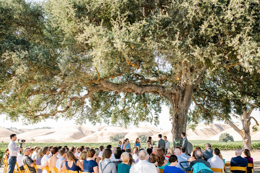 Large Oak Tree Wedding Ceremony at Cass Winery by San Luis Obispo Wedding Photographer Austyn Elizabeth
