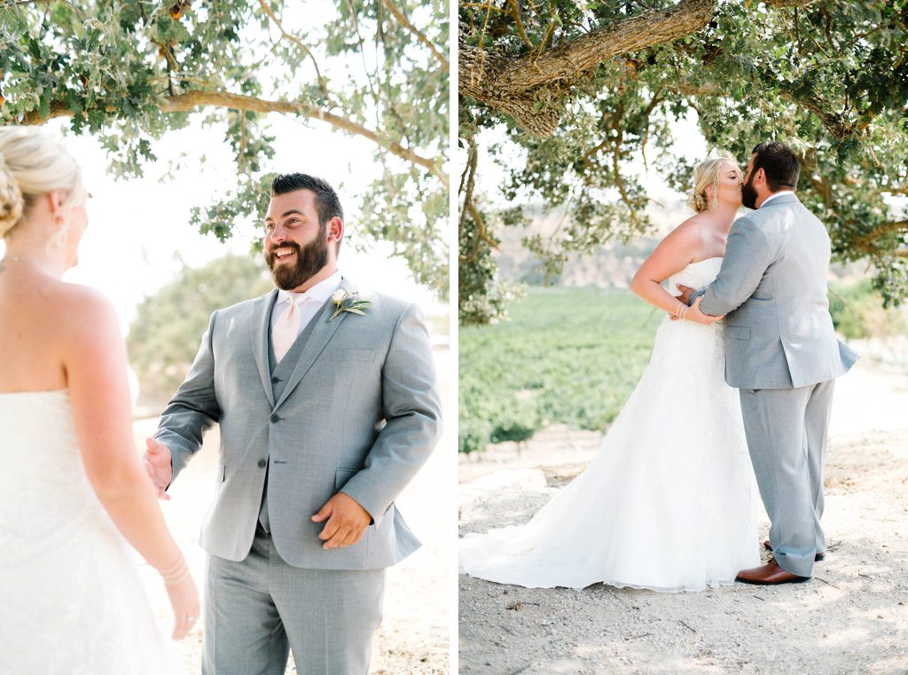 bride and groom as first look at vineyard wedding