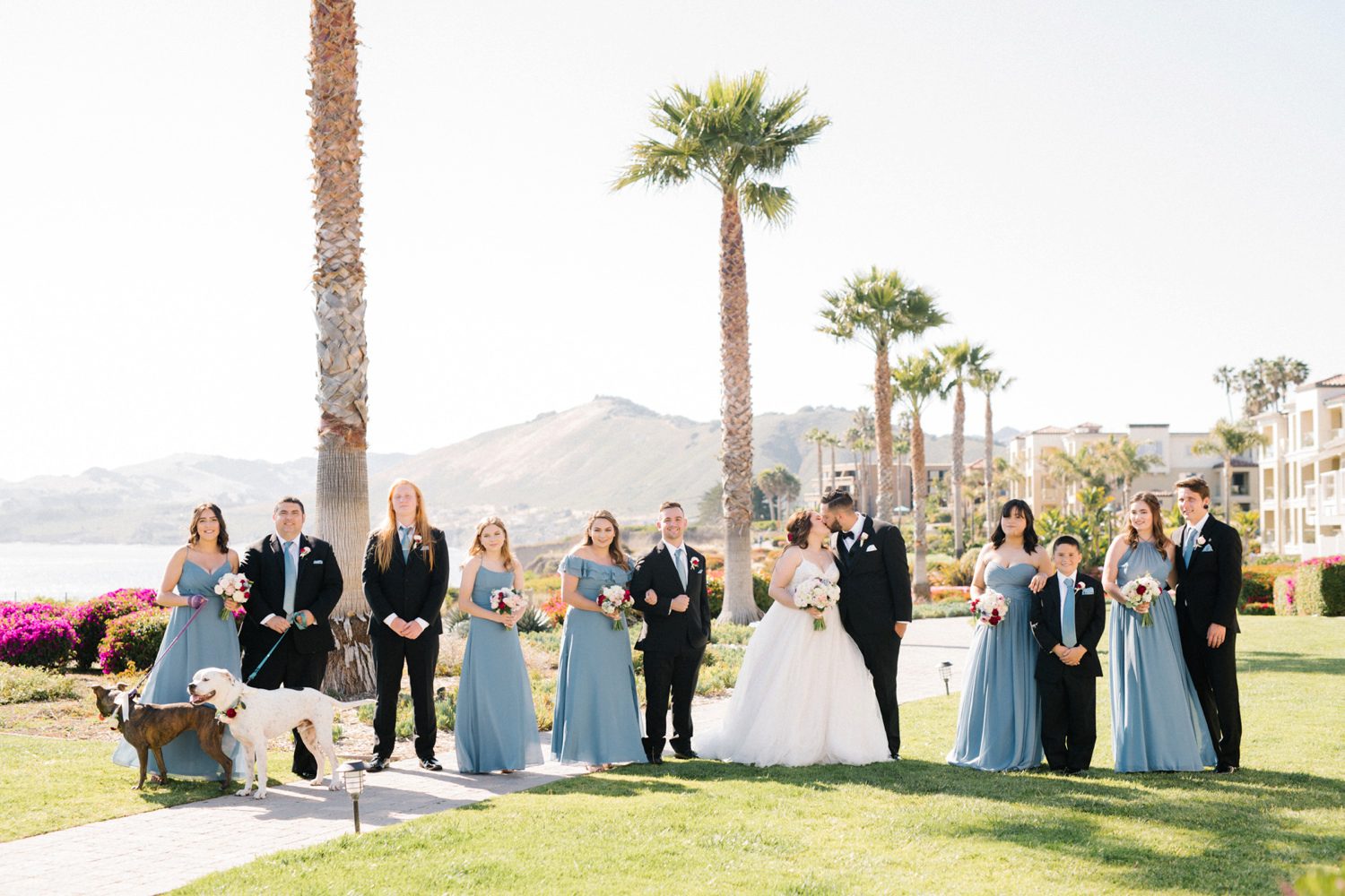 Bridal party with dogs at Cliffs Hotel Wedding by Pismo Beach Wedding Photographer Austyn Elizabeth Photography