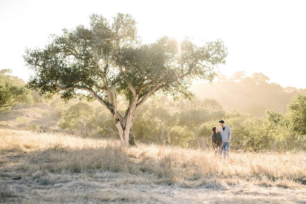 Couple standing next to oak tree with golden California light for Family Christmas Photos by Arroyo Grande Family Photographer Austyn Elizabeth Photography