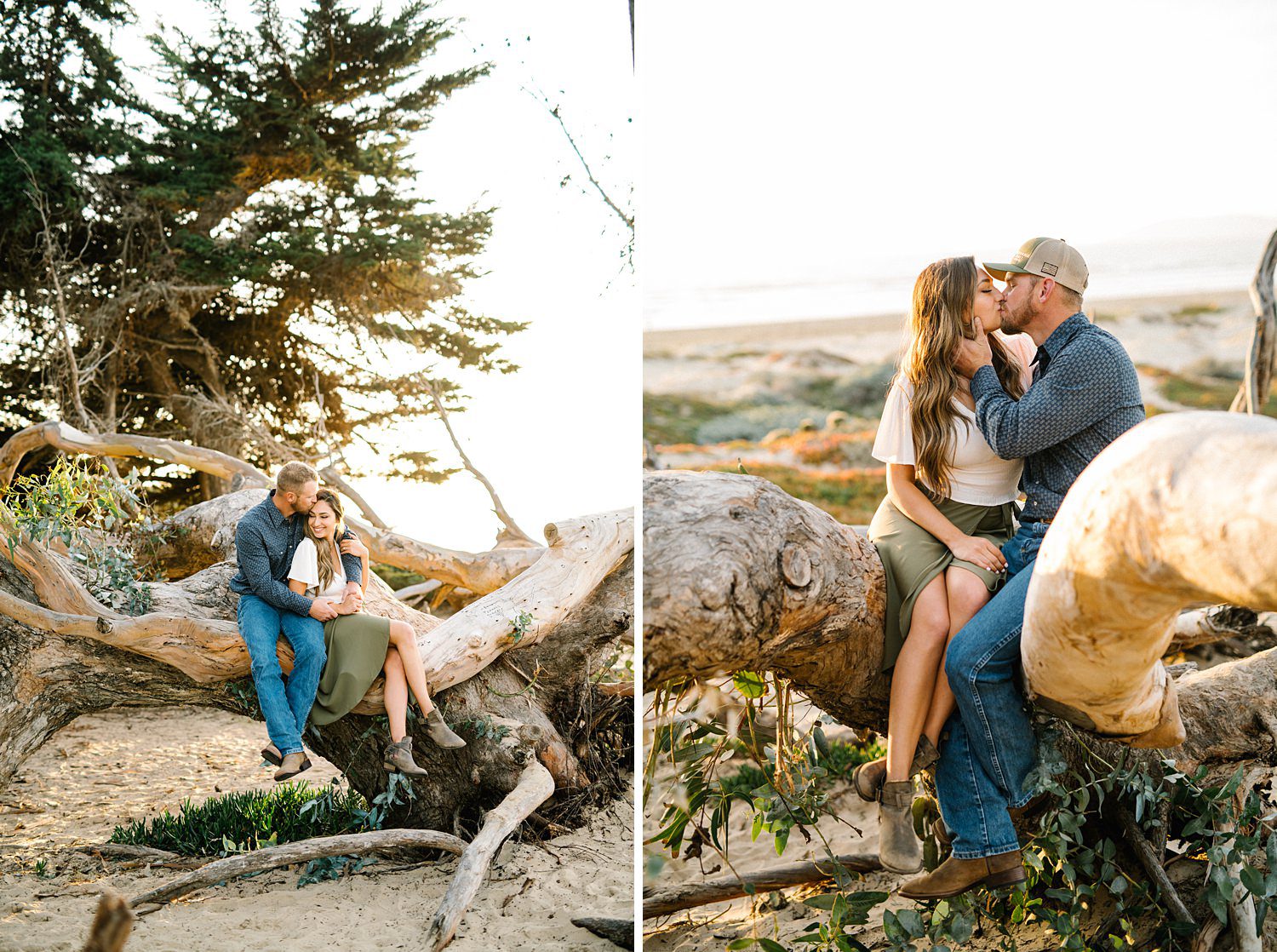 Engaged sitting on fallen tree on the beach in Pismo Beach at Sunset by Pismo Beach Engagement Photographer Austyn Elizabeth Photography