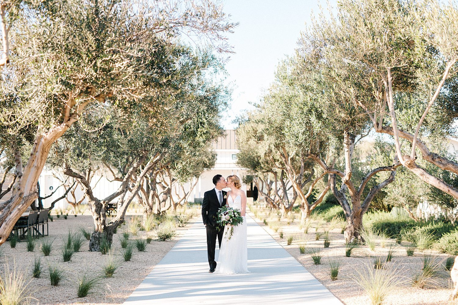 Bride and Groom within Olive Grove at Biddle Ranch Vineyard Wedding by Biddle Ranch Wedding Photographer Austyn Elizabeth Photography