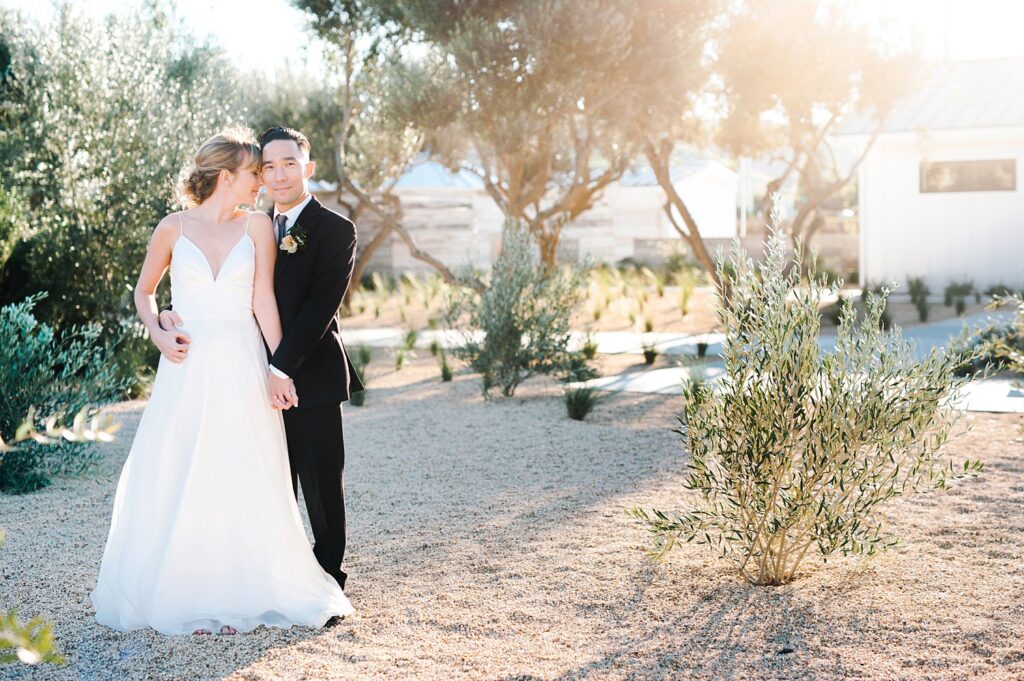 Palm springs landscaping ideas for vineyard with bride and groom at Biddle Ranch Vineyard Wedding by Edna Valley Wedding Photographer Austyn Elizabeth Photography