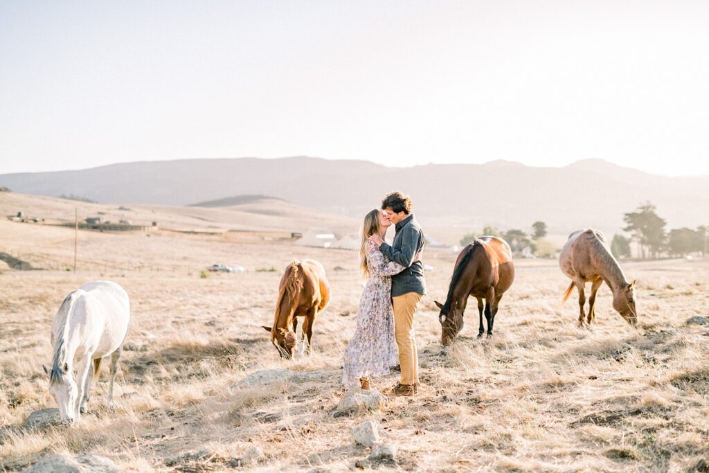 Couple kissing in field with horses during engagement photo shoot by San Luis Obispo Wedding Photographer Austyn Elizabeth Photography