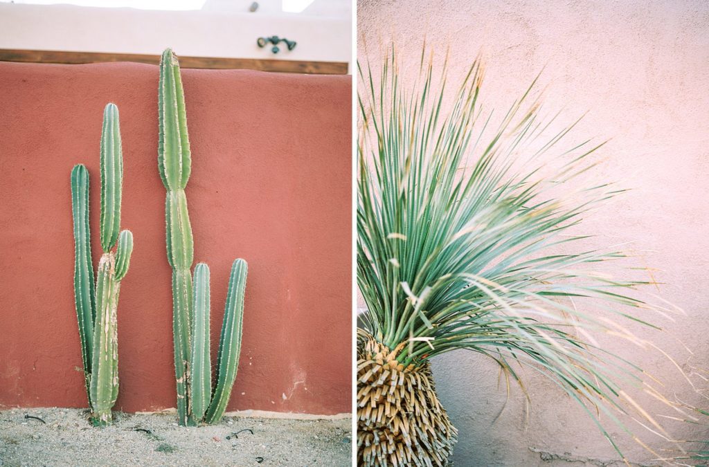 Red and pink walls at Villa Leche Palm Desert Airbnb by Palm Desert Wedding Photographer Austyn Elizabeth Photography