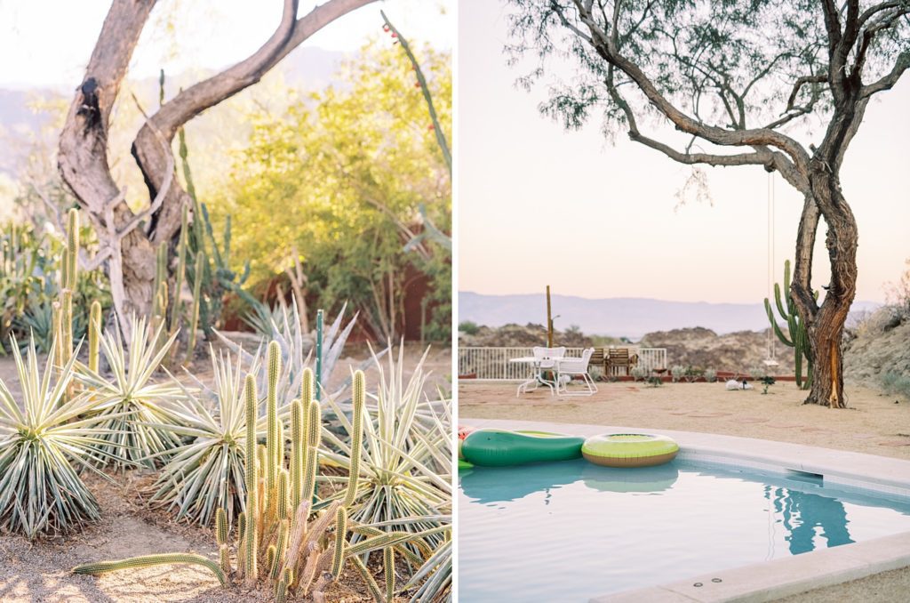 Cactus garden and the pool at dusk at Villa Leche Palm Desert Airbnb by San Luis Obispo Wedding Photographer Austyn Elizabeth Photography