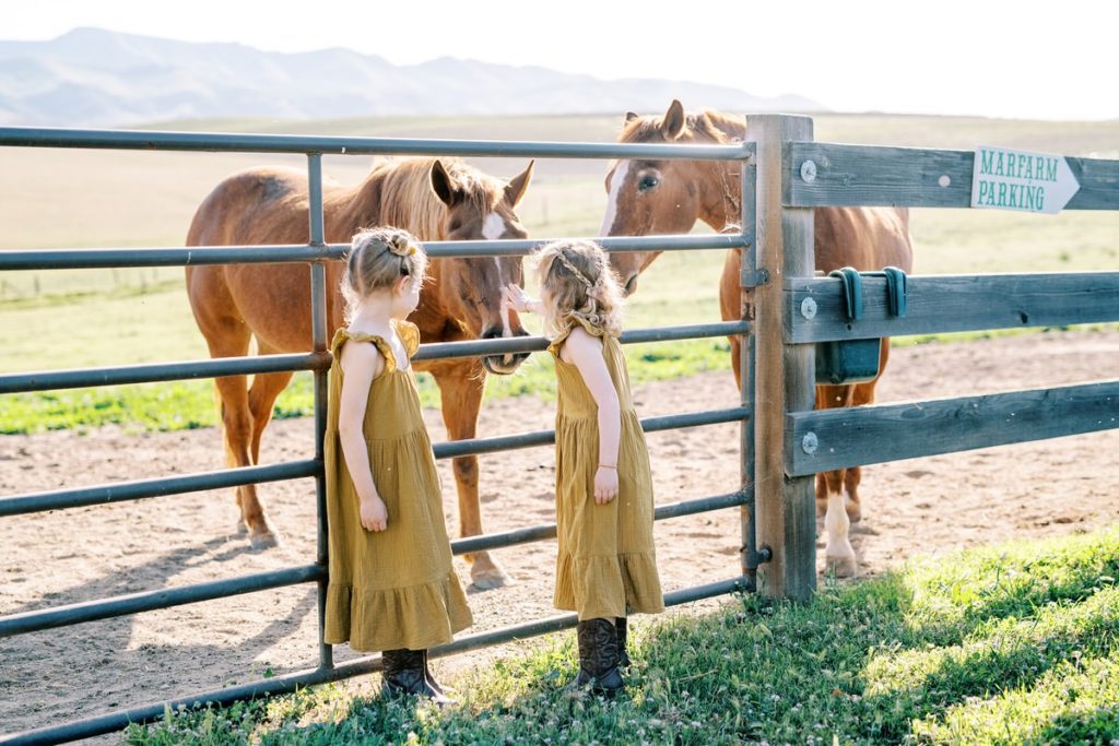 Two girls in mustard pet horses at MarFarm by San Luis Obispo Family Photographer Austyn Elizabeth Photography