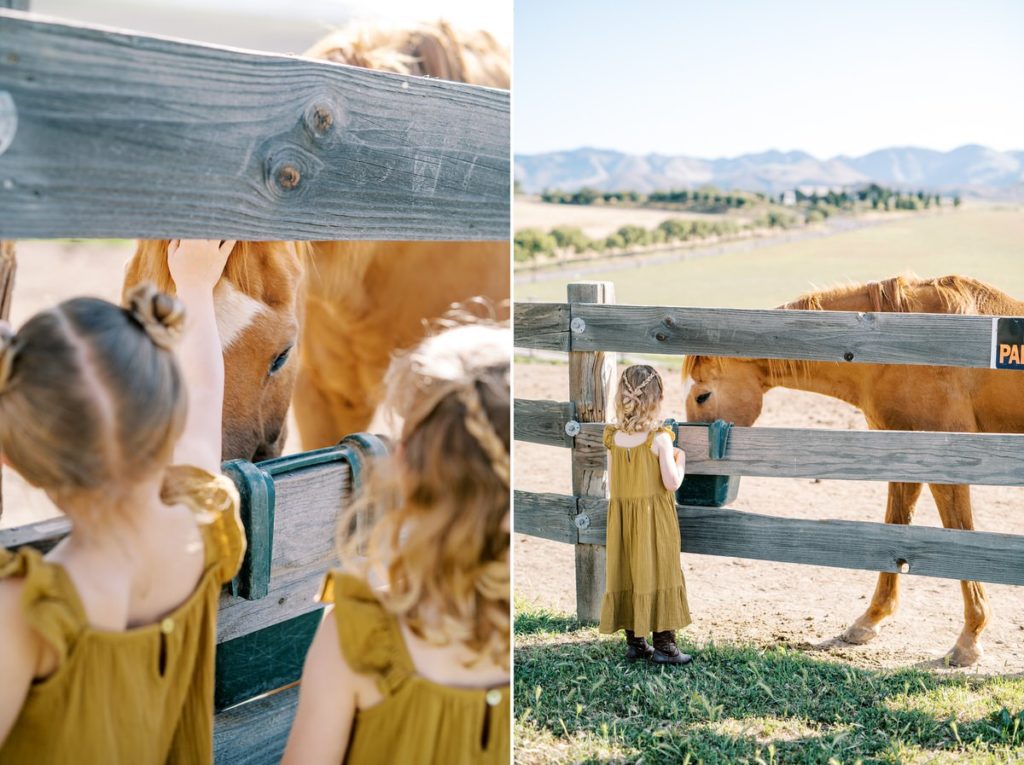 Girl in mustard dress petting horse in horse pen at MarFarm by San Luis Obispo Family Photographer Austyn Elizabeth Photography