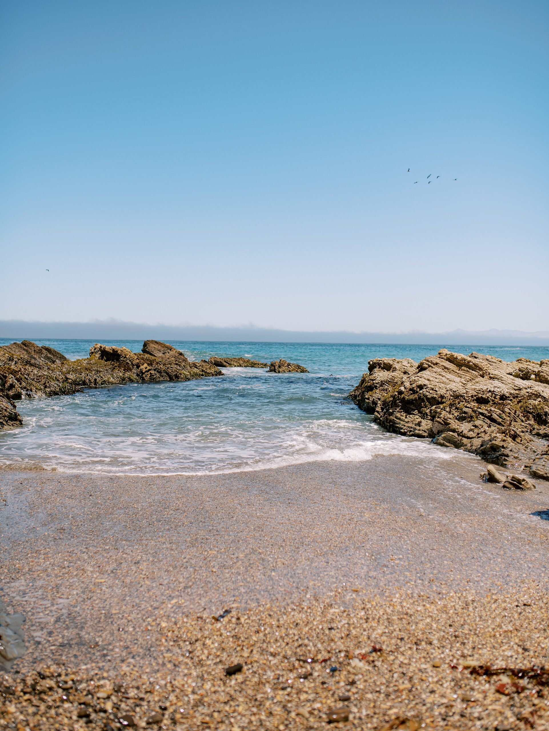 Clear skies and teal ocean at surprise proposal at Montana De Oro's Spooners Cove by Pismo beach engagement photographer austyn elizabeth photography