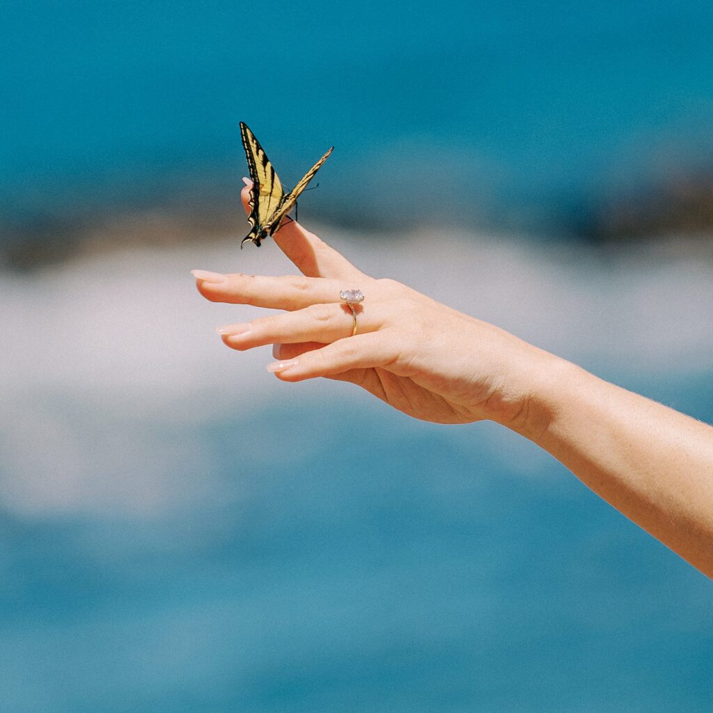 Butterfly lands on newly engaged bride at surprise proposal at Montana De Oro's Spooners Cove by Pismo beach engagement photographer austyn elizabeth photography