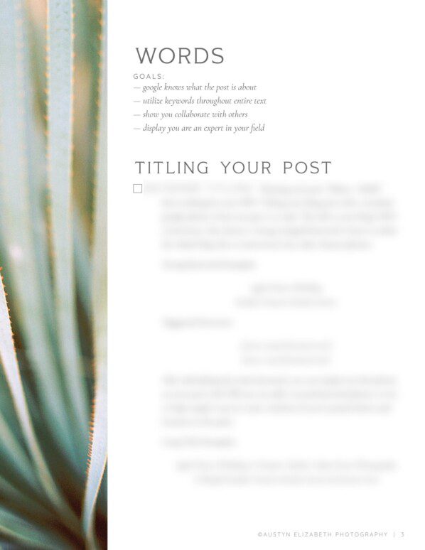 All About SEO: The Blog Post Checklist - Image 4