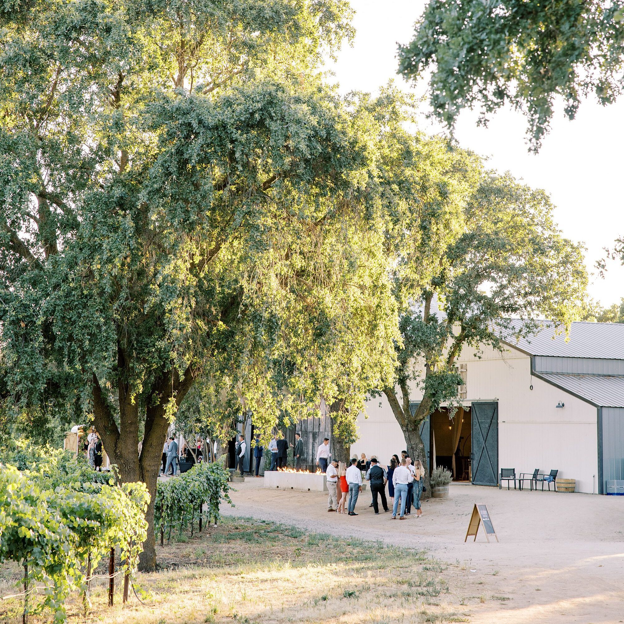 outside the barn at Lamoure Vineyard wedding by San Luis Obispo wedding photographer Austyn Elizabeth Photography