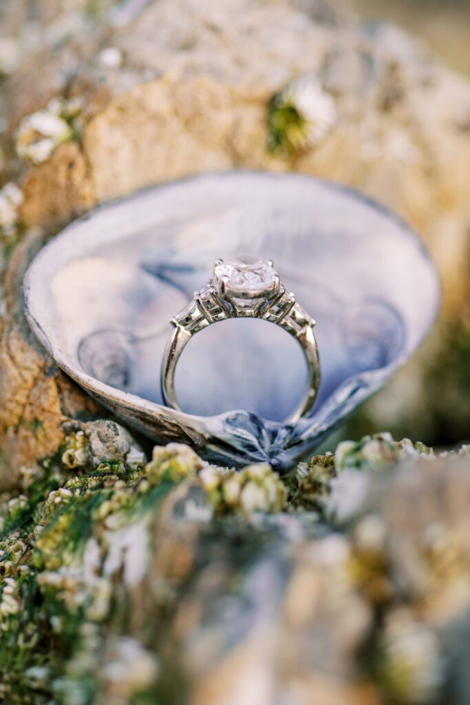 closeup of ring in purple shell at Pismo Beach Engagement session by Pismo Beach Engagement Photographer Austyn Elizabeth Photography