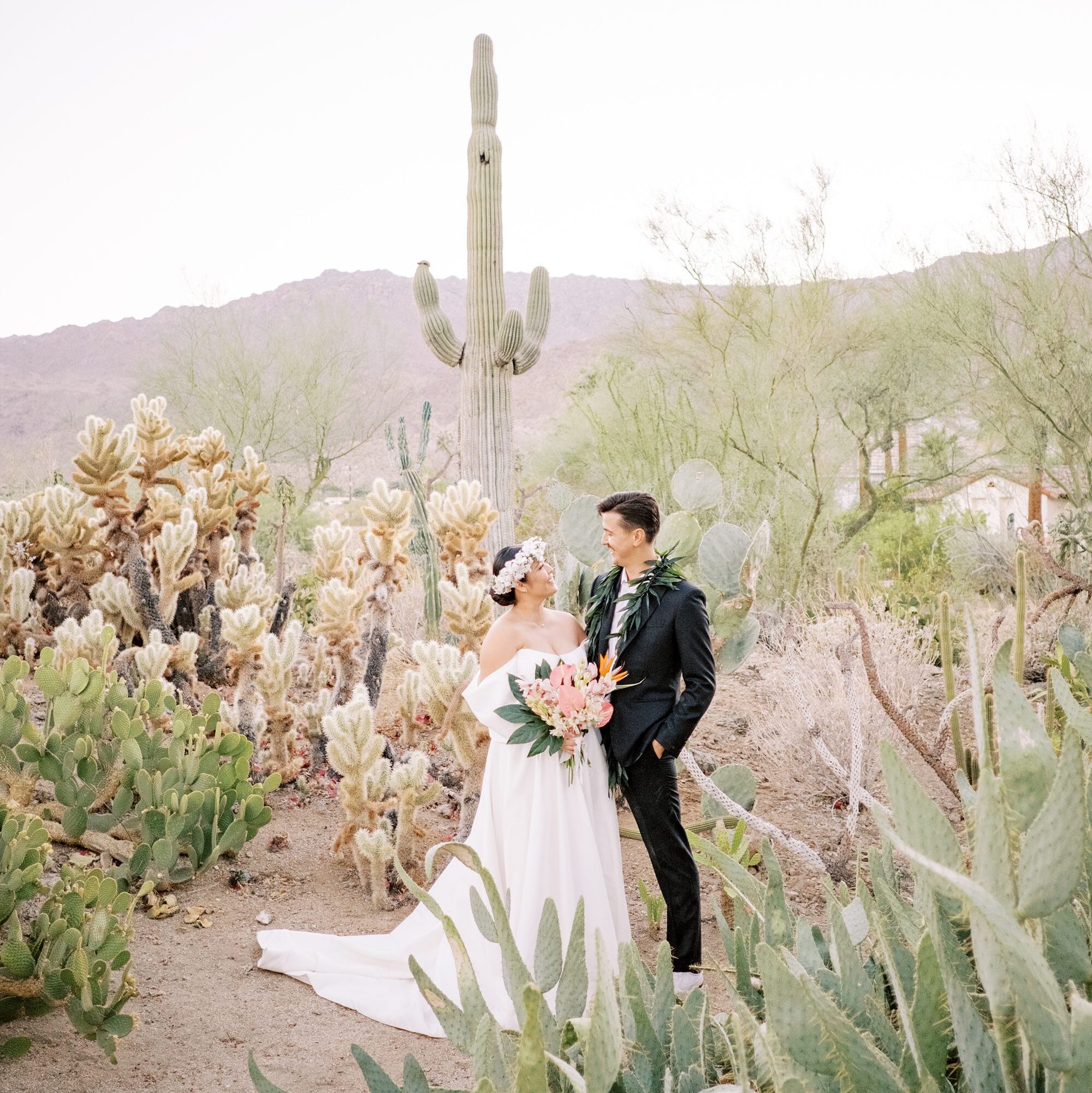 Couple stand in cactus garden at Villa Leche wedding by Palm Springs Wedding Photographer Austyn Elizabeth Photography