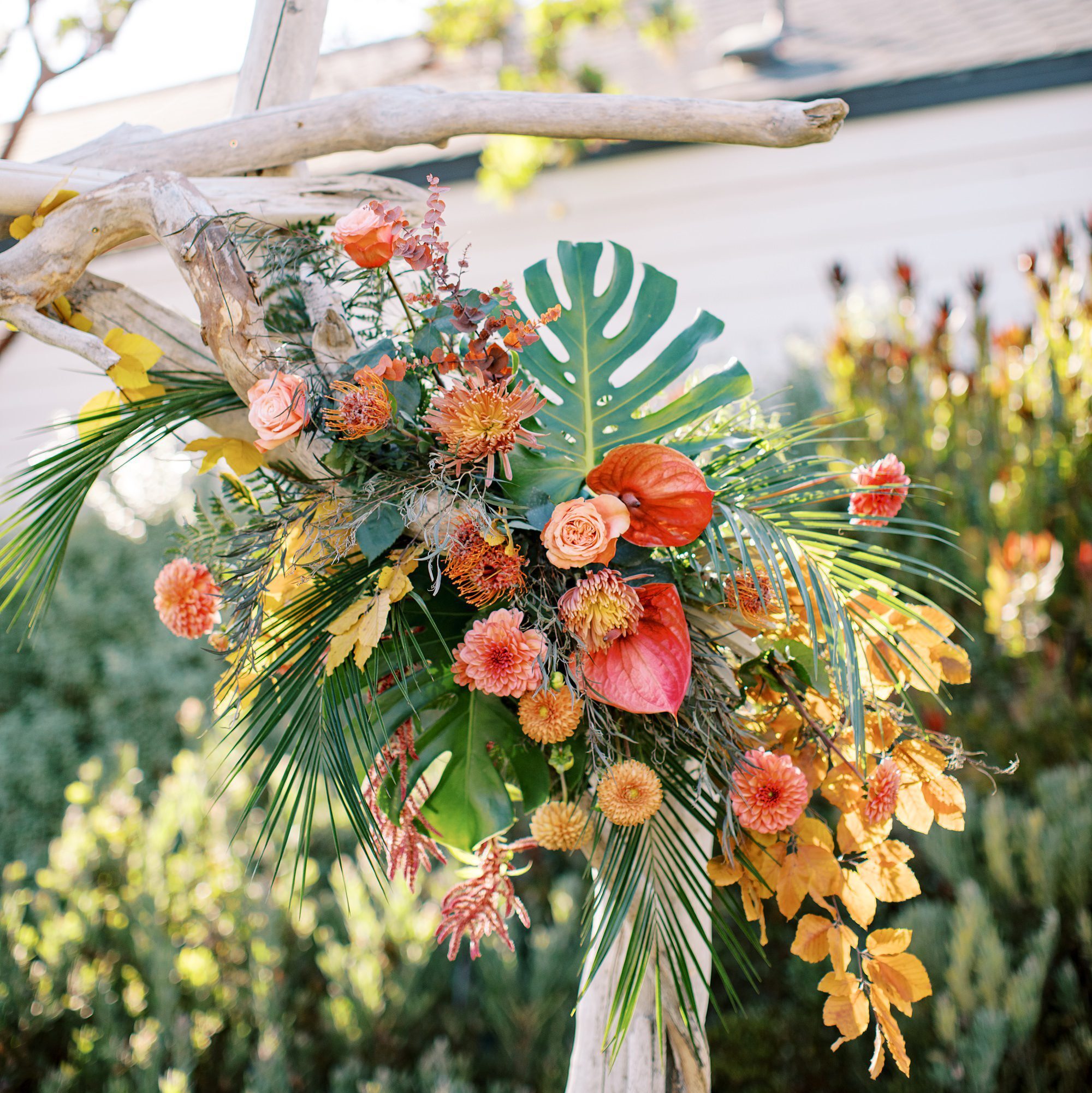 Gold, reds pinks and peach wedding flowers and driftwood arbors by Cayucos Wedding Photographer on Film by Austyn Elizabeth Photography
